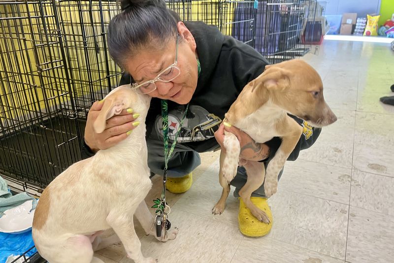 A volunteer nuzzling two rescue puppies at RezDawg Animal Rescue